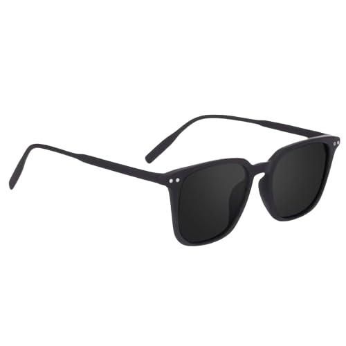 Polarized Black Full Rim Butterfly Sunglass